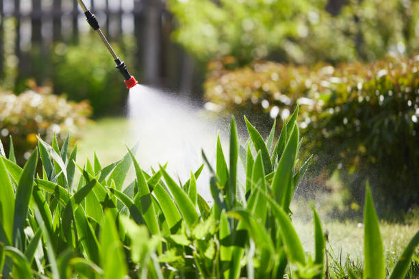 24/7 Emergency Mosquito Control experts in Tonka Bay, MN