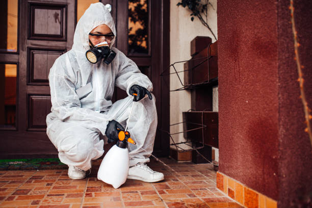 Reliable Mosquito Control contractor in Tonka Bay, MN by Show Me Pest Control
